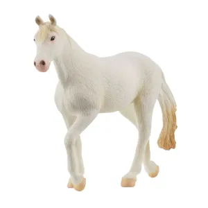 Camarillo Mare