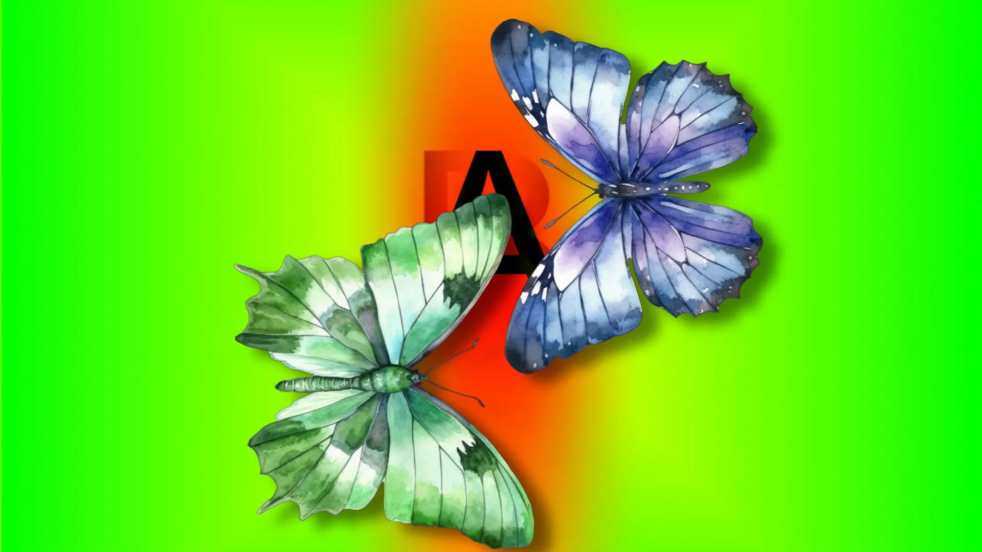 Cosmic Butterflies Styles and Transitions for Photopia