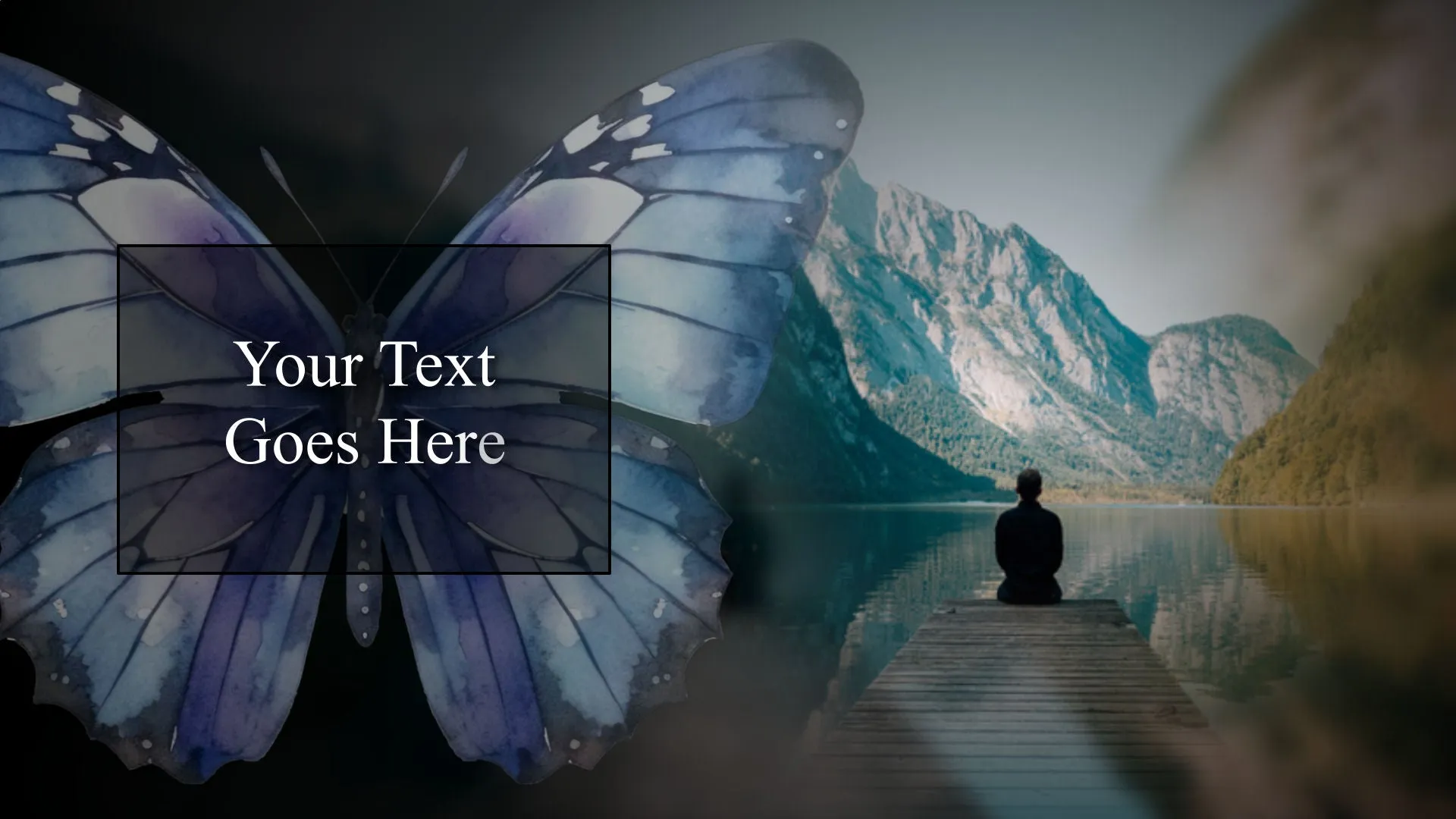 Cosmic Butterflies Styles and Transitions for Photopia