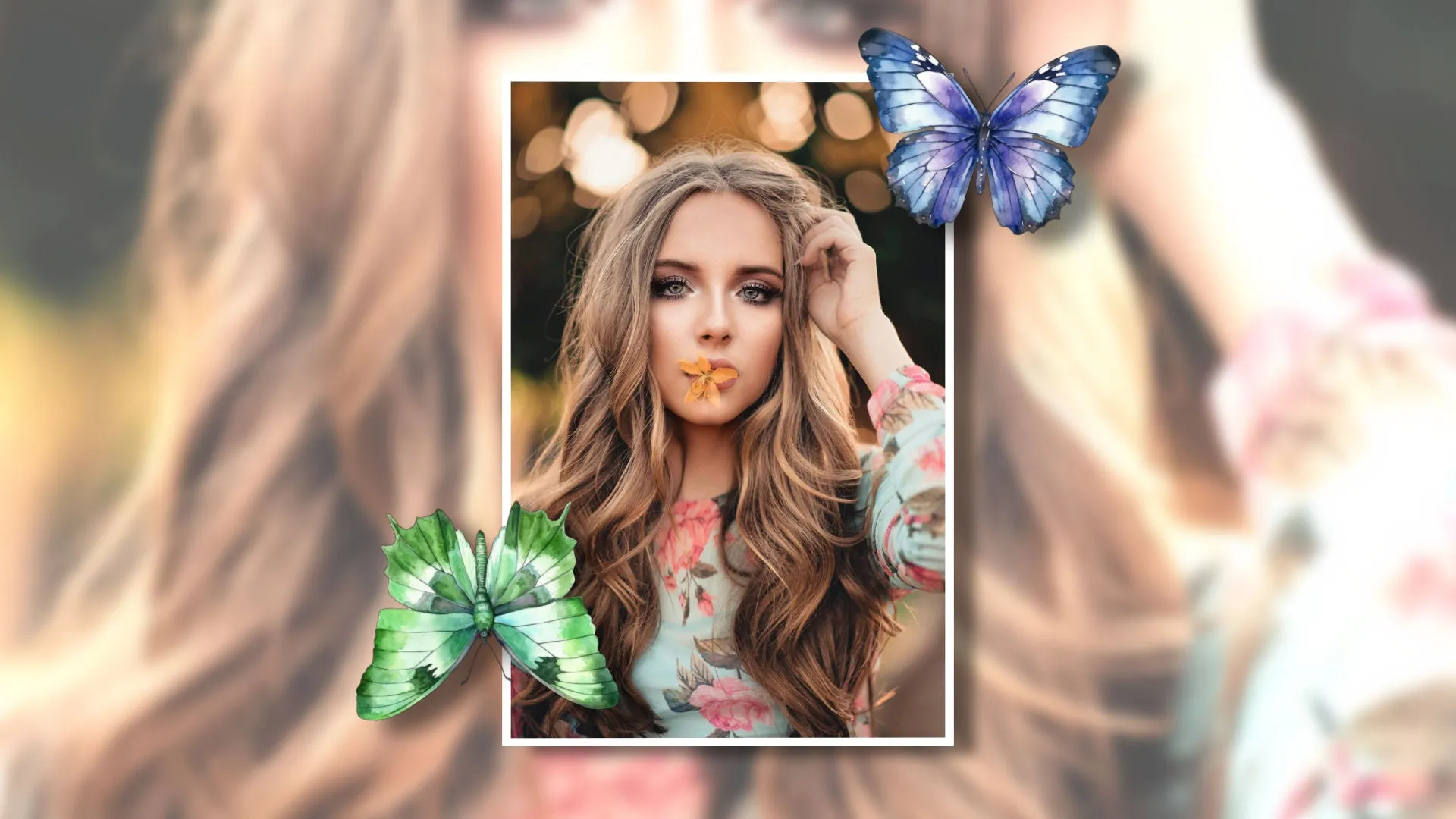 Cosmic Butterflies Styles and Transitions for Photopia