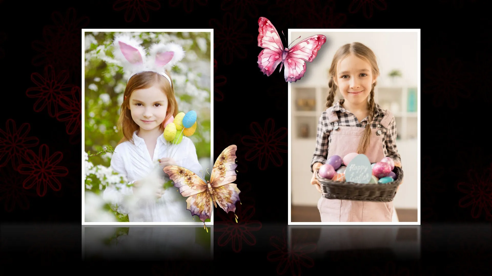Cosmic Butterflies Styles and Transitions for Photopia