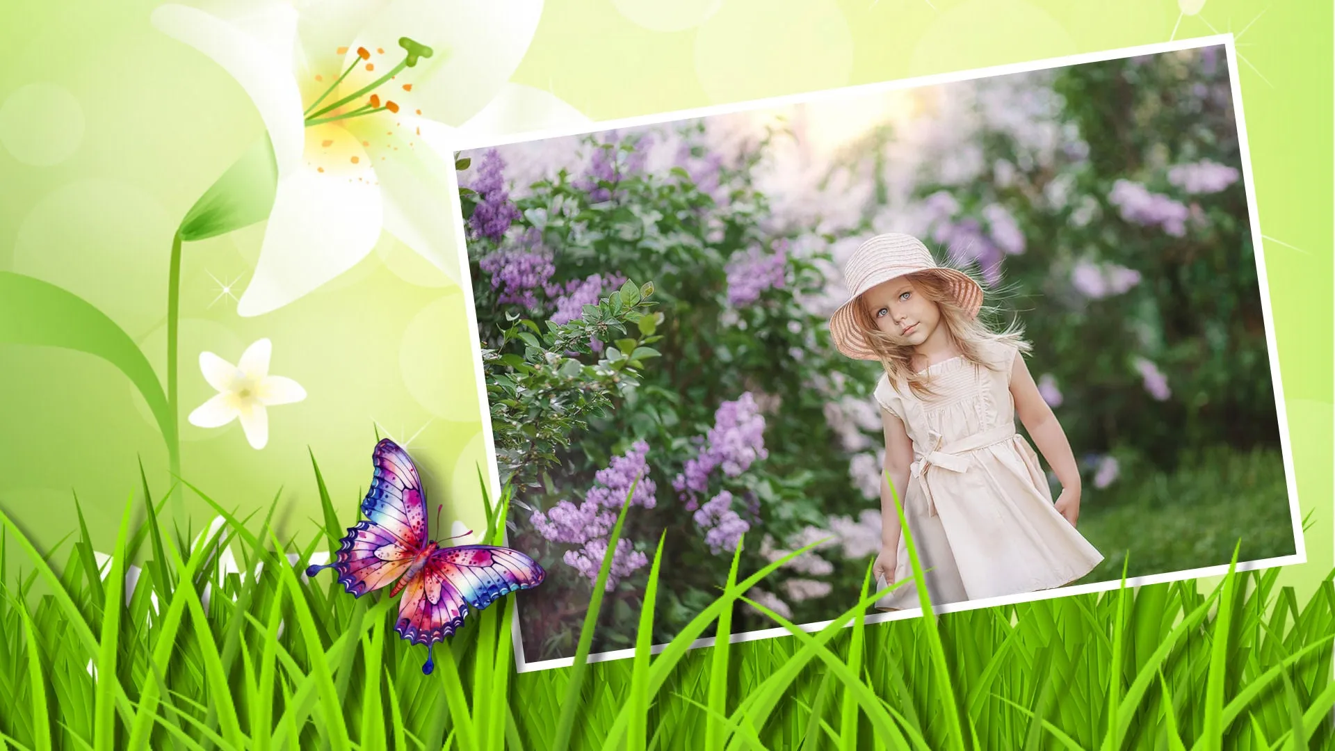 Cosmic Butterflies Styles and Transitions for Photopia