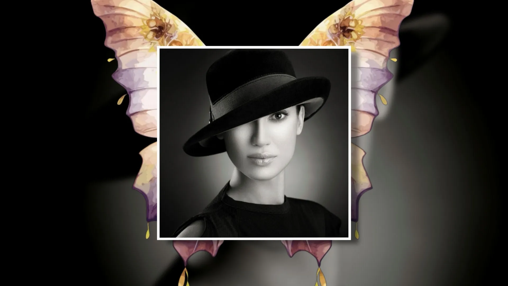 Cosmic Butterflies Styles and Transitions for Photopia
