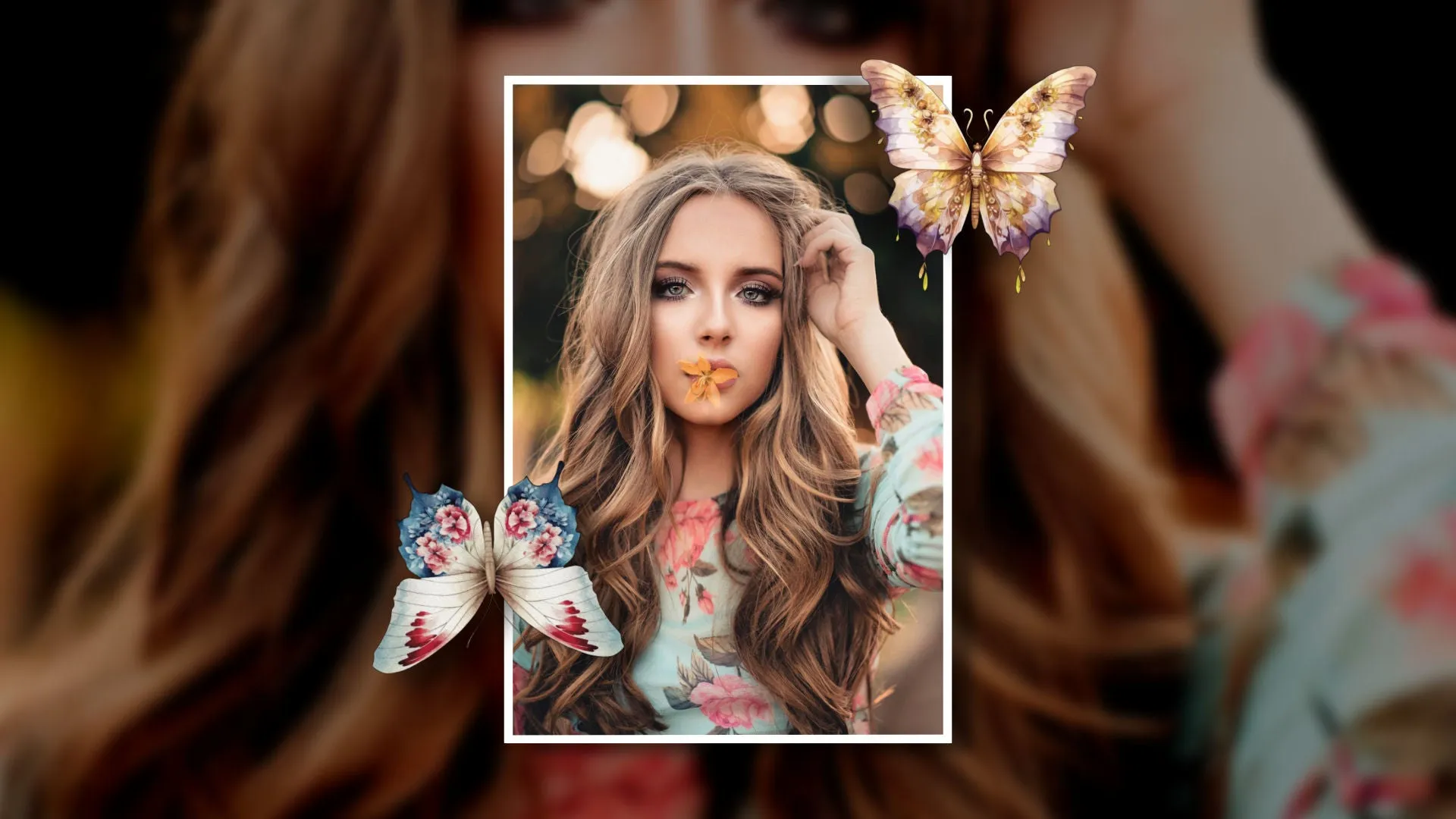 Cosmic Butterflies Styles and Transitions for Photopia