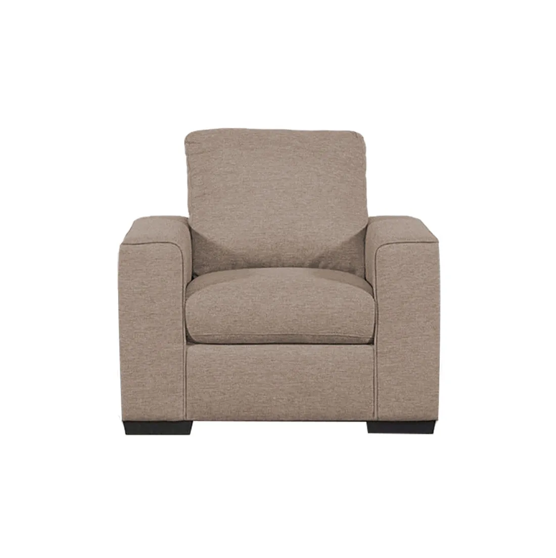 Dane Fabric Sofa for Living Room